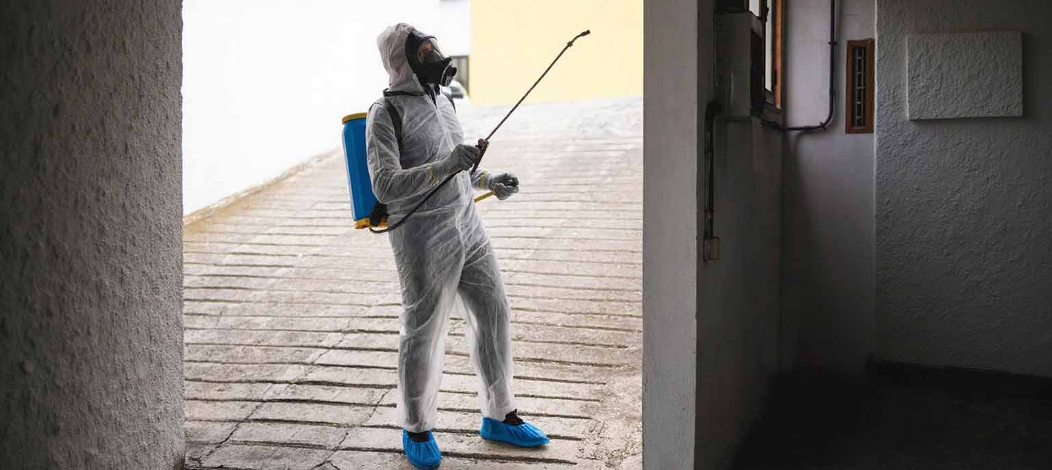 Pest Control Services in Sankrail