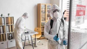 Read more about the article What Attracts Pests to Workspaces and How to Prevent It