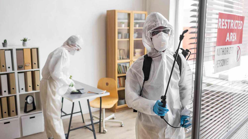 What Attracts Pests to Workspaces and How to Prevent It