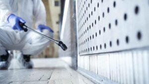 Read more about the article Signs You Need to Hire Pest Control Professionals Immediately